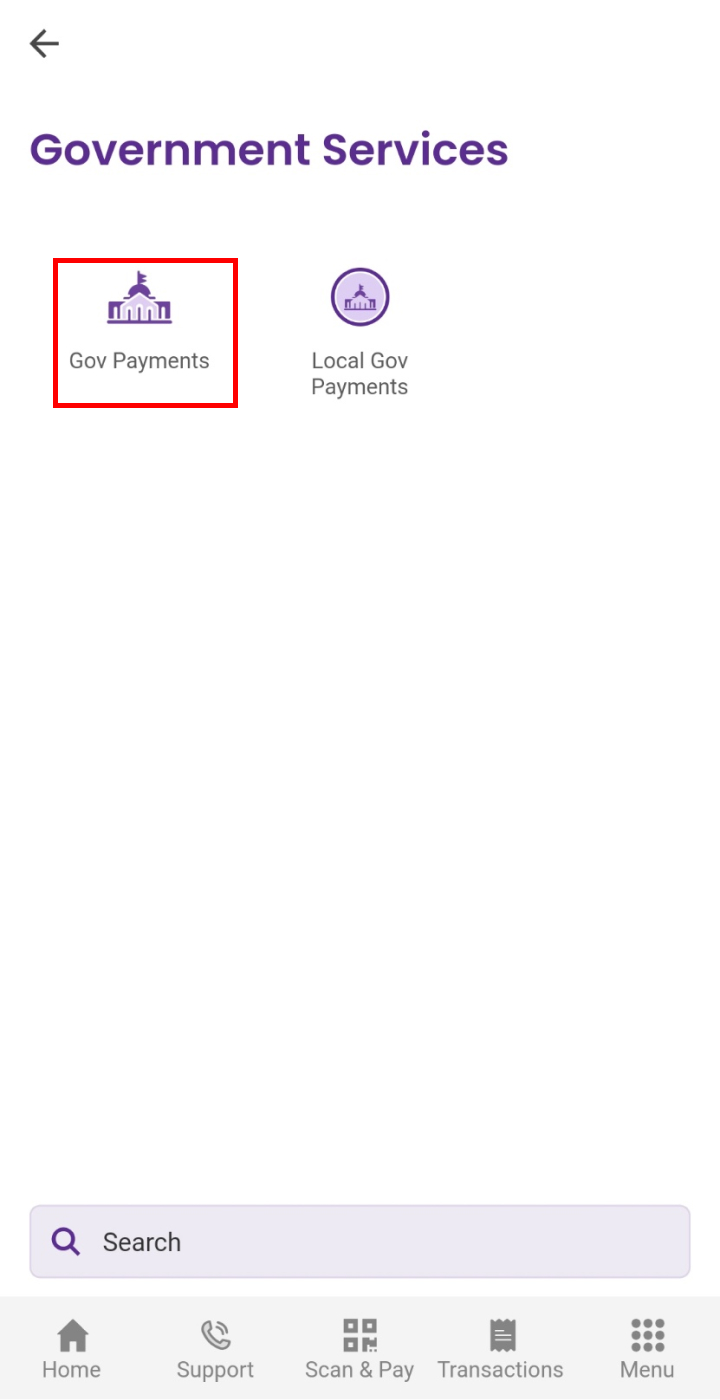 Click on 'Gov Payments'